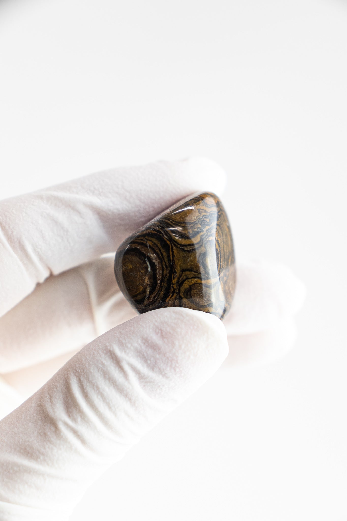 Stromatolite