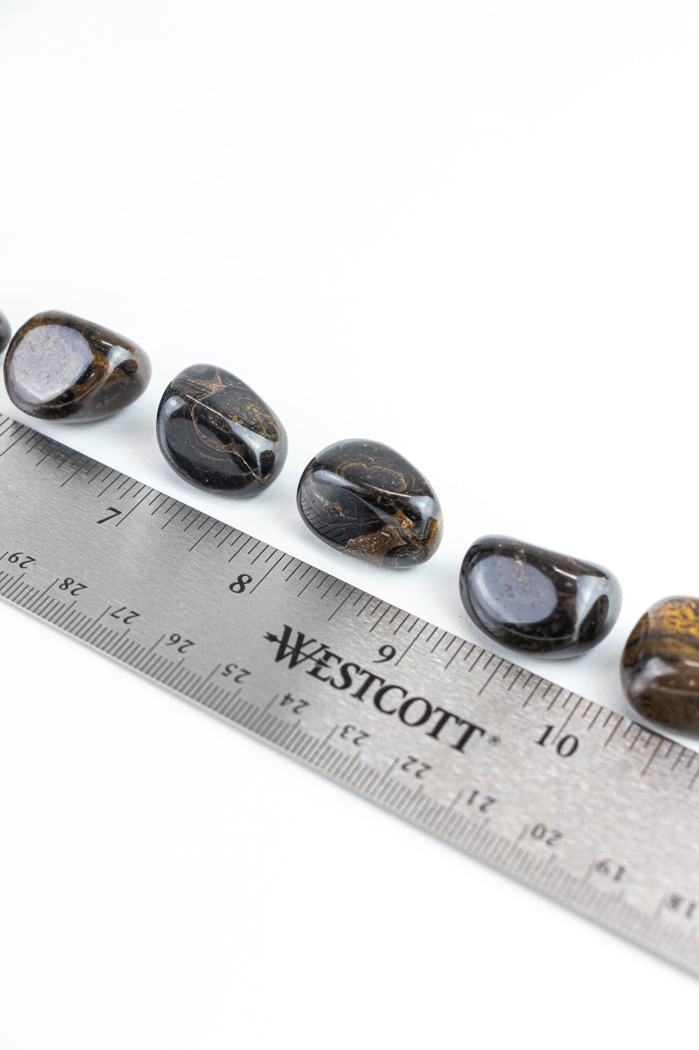 Stromatolite