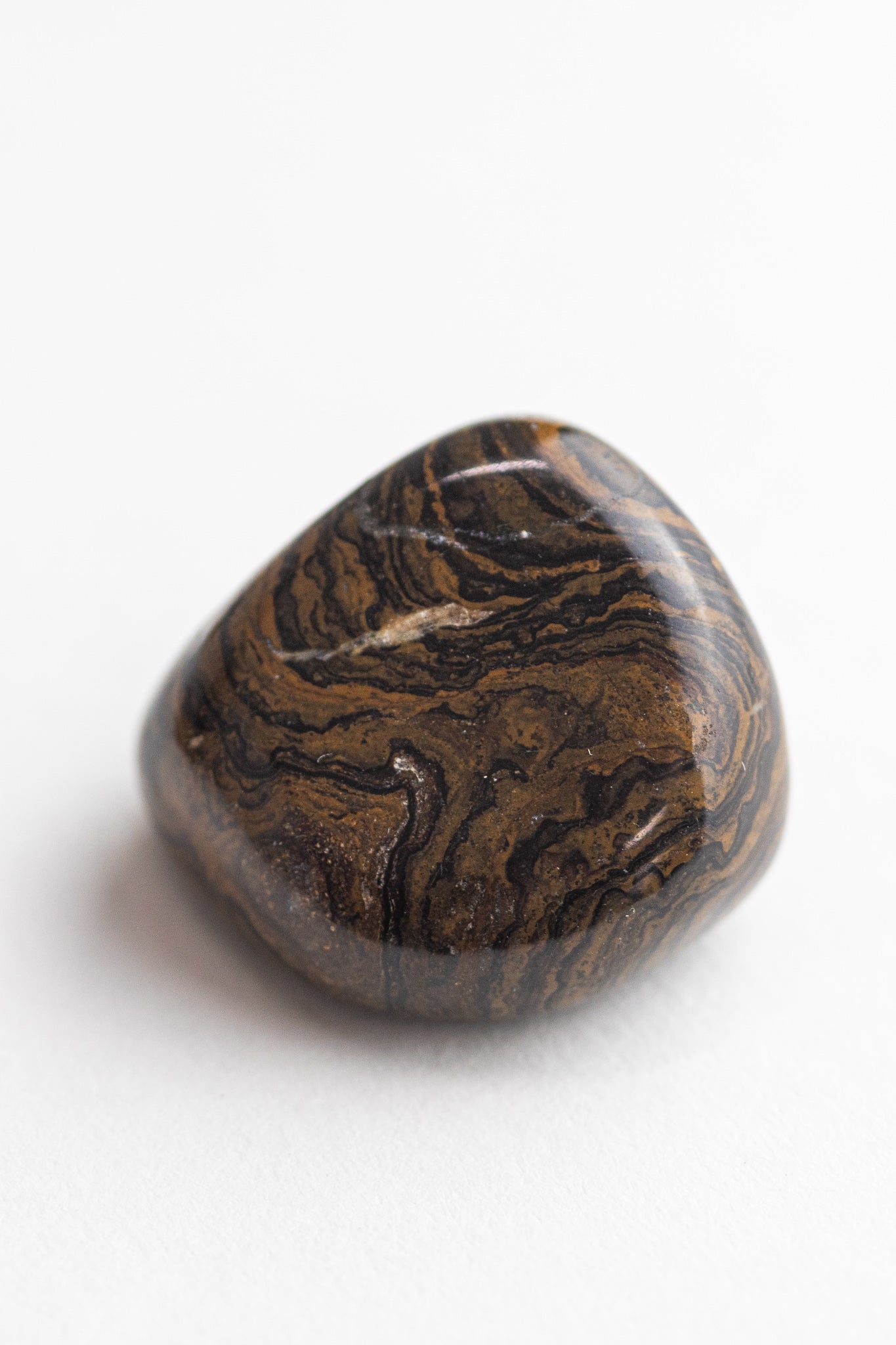Stromatolite