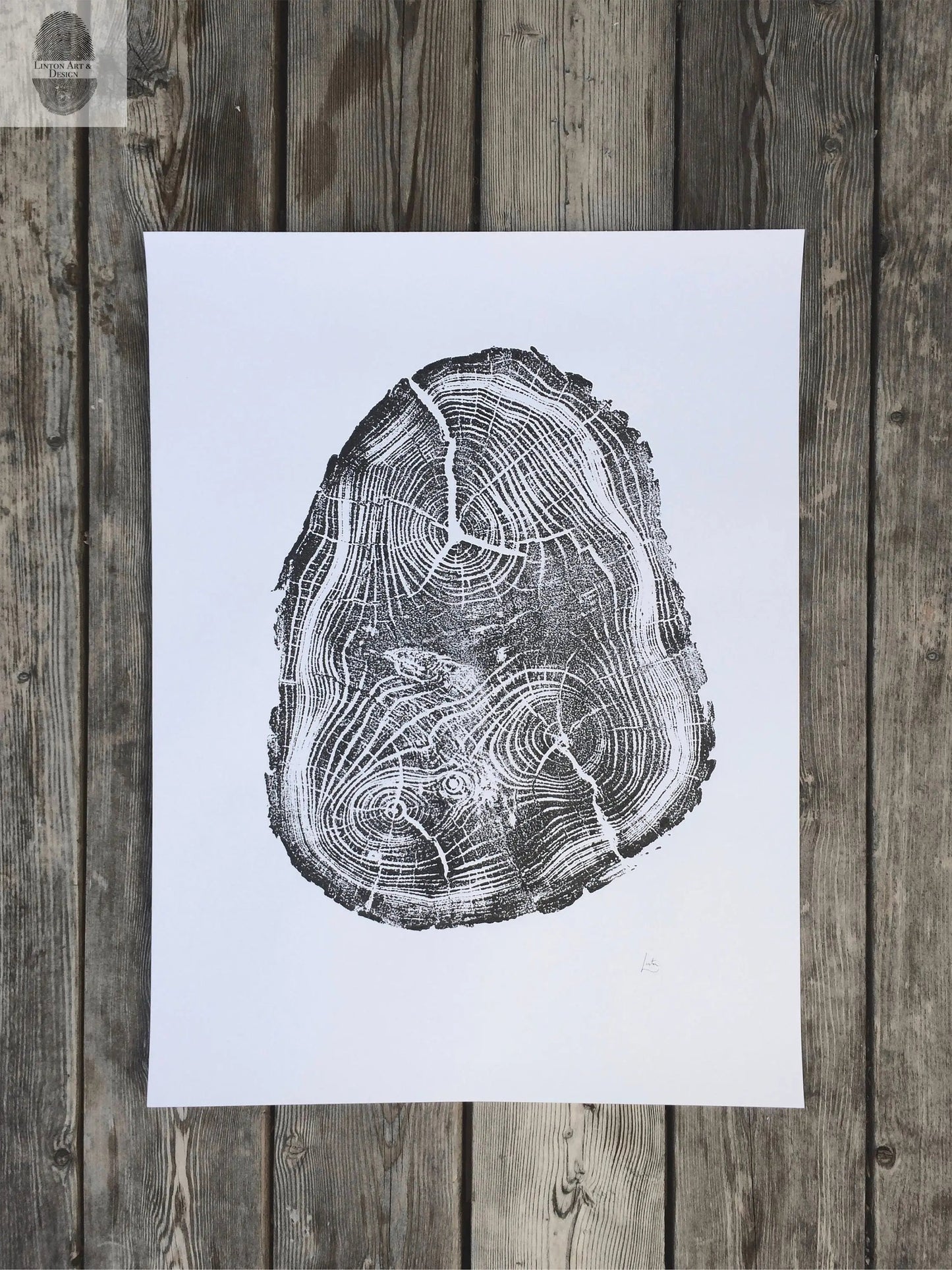 Utah Black Locust I - 18x24 print