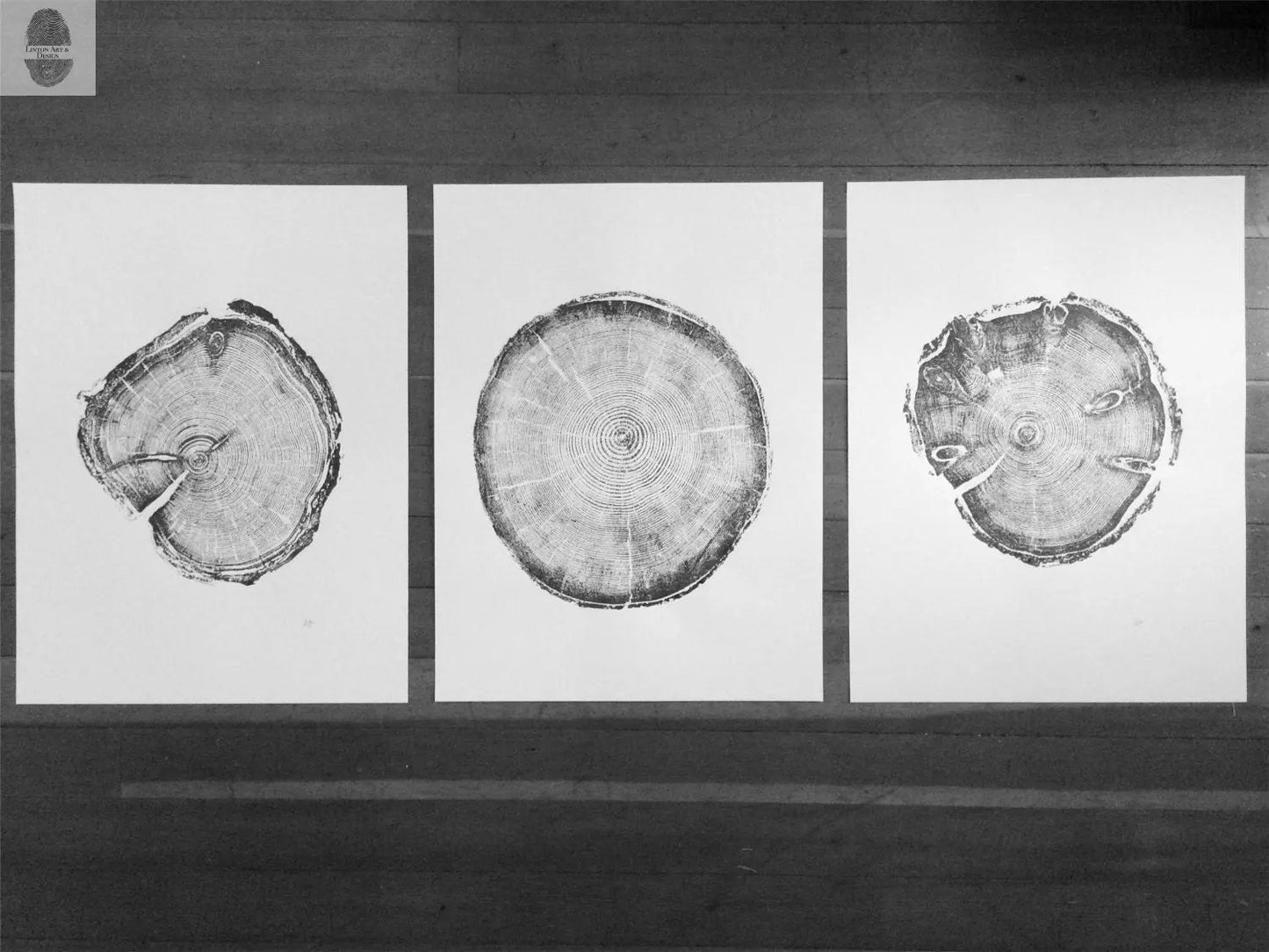 Utah Pines Triptych - 18x24 each print