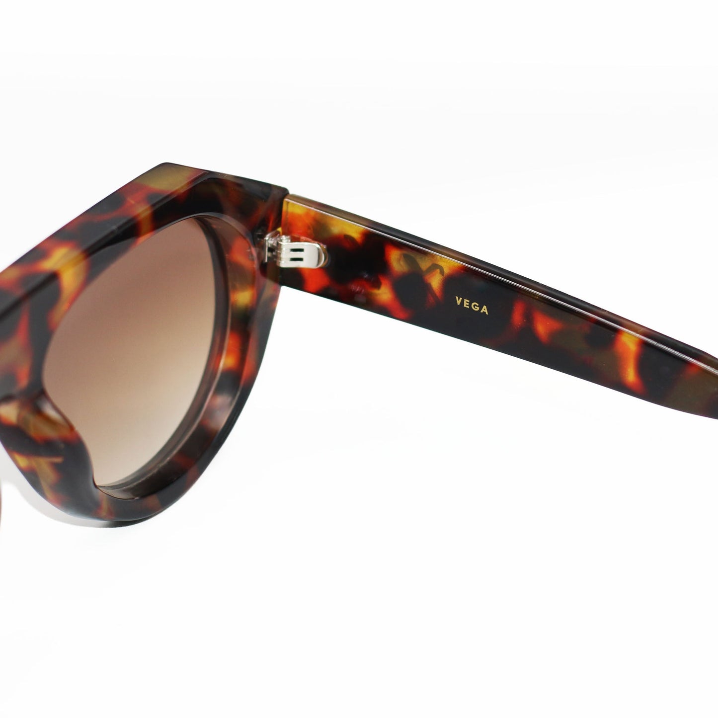 Vega - Brown Tortoise
