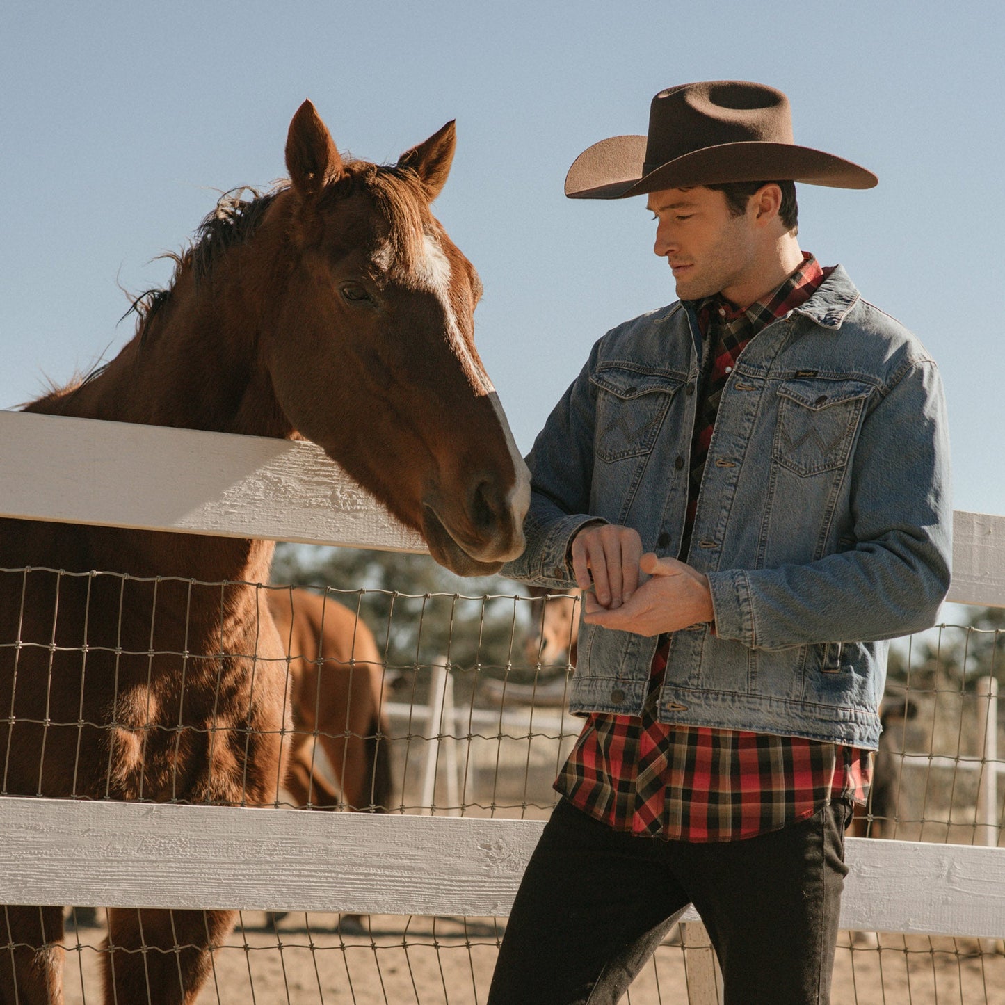 The Made in Mexico - Stiff Wool Felt Cowboy by Wrangler