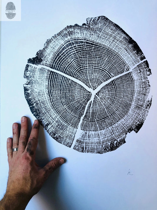 Walden Pond, Massachusetts Oak - 18x24 print