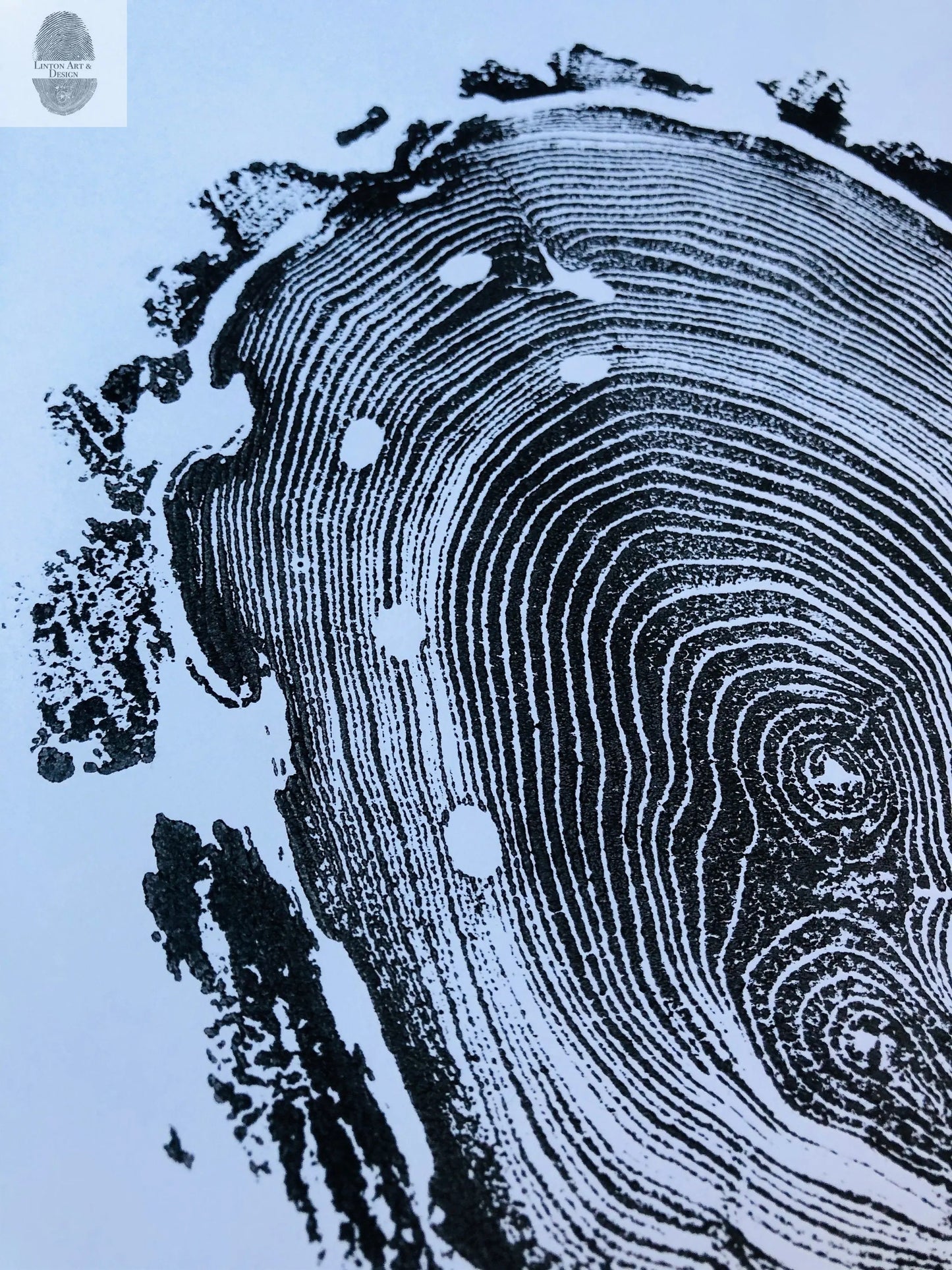 Walden Pond Print, Massachusetts Tree Ring Print - 18x24 print - Signed Original