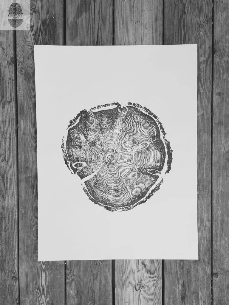 Wasatch Mountains, Utah Pine - 18x24 Print