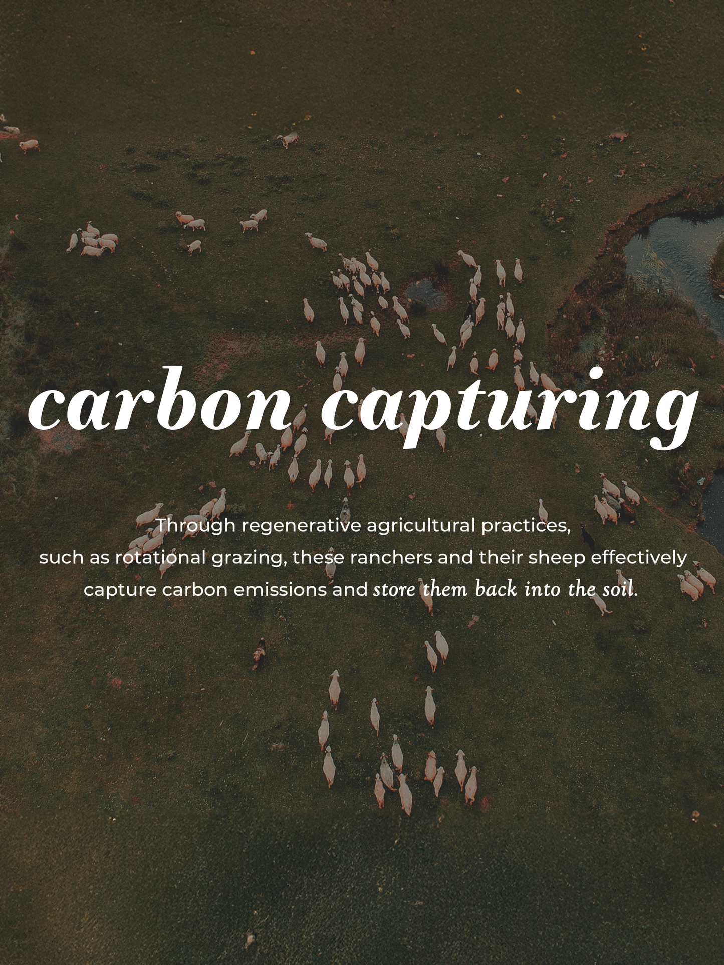 Jumbo Wool Dryer Balls ( 3 pack )