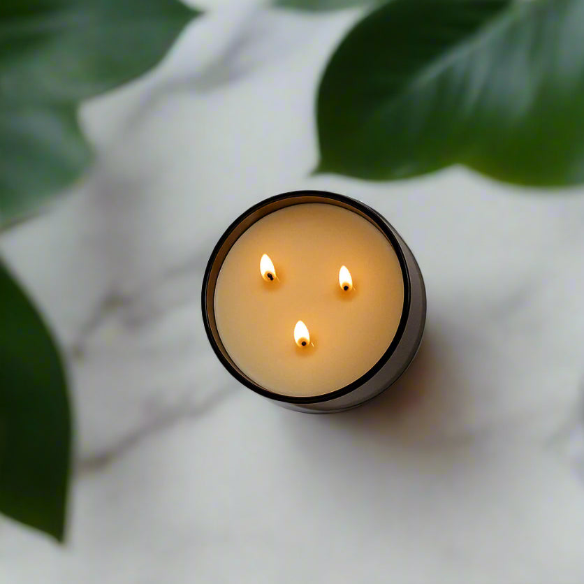 Rosemary + Lemon - Signature 3-Wick Candle