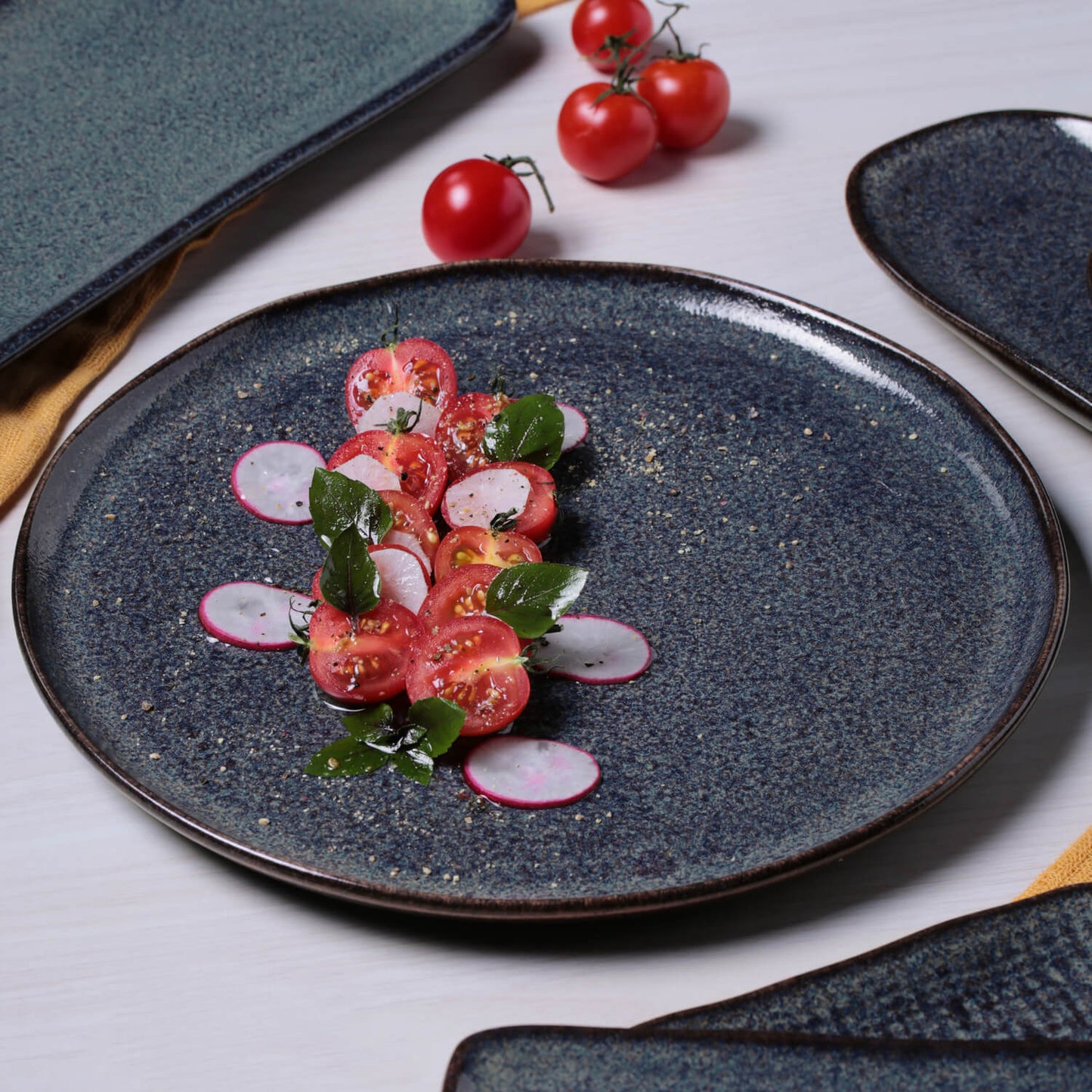 Dinner Plate Set of 6