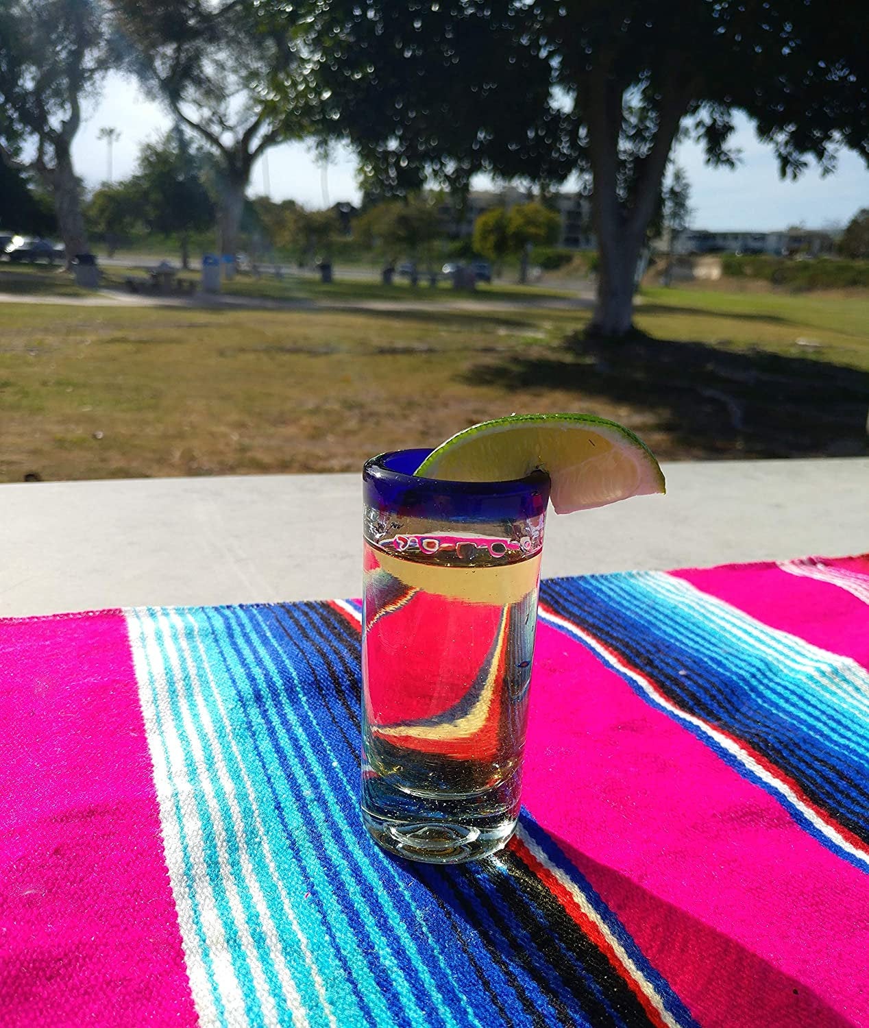 Cobalt Blue Rim Tequila Shot Glasses - Set of 6