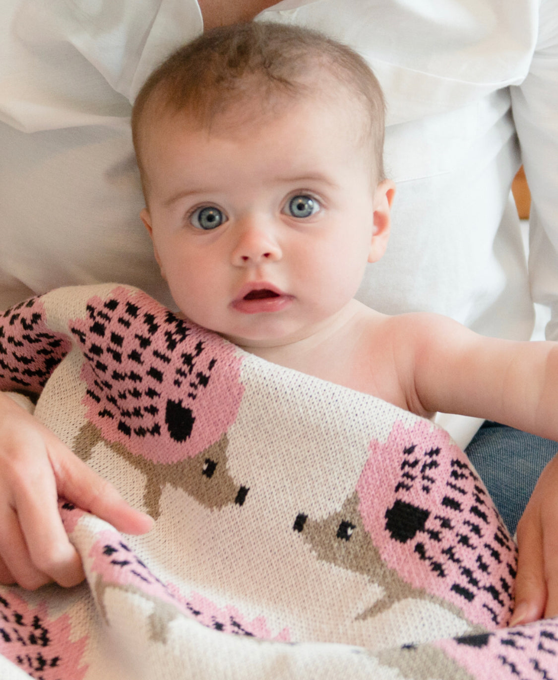 Baby Hedgehog - Cotton Knit Blanket