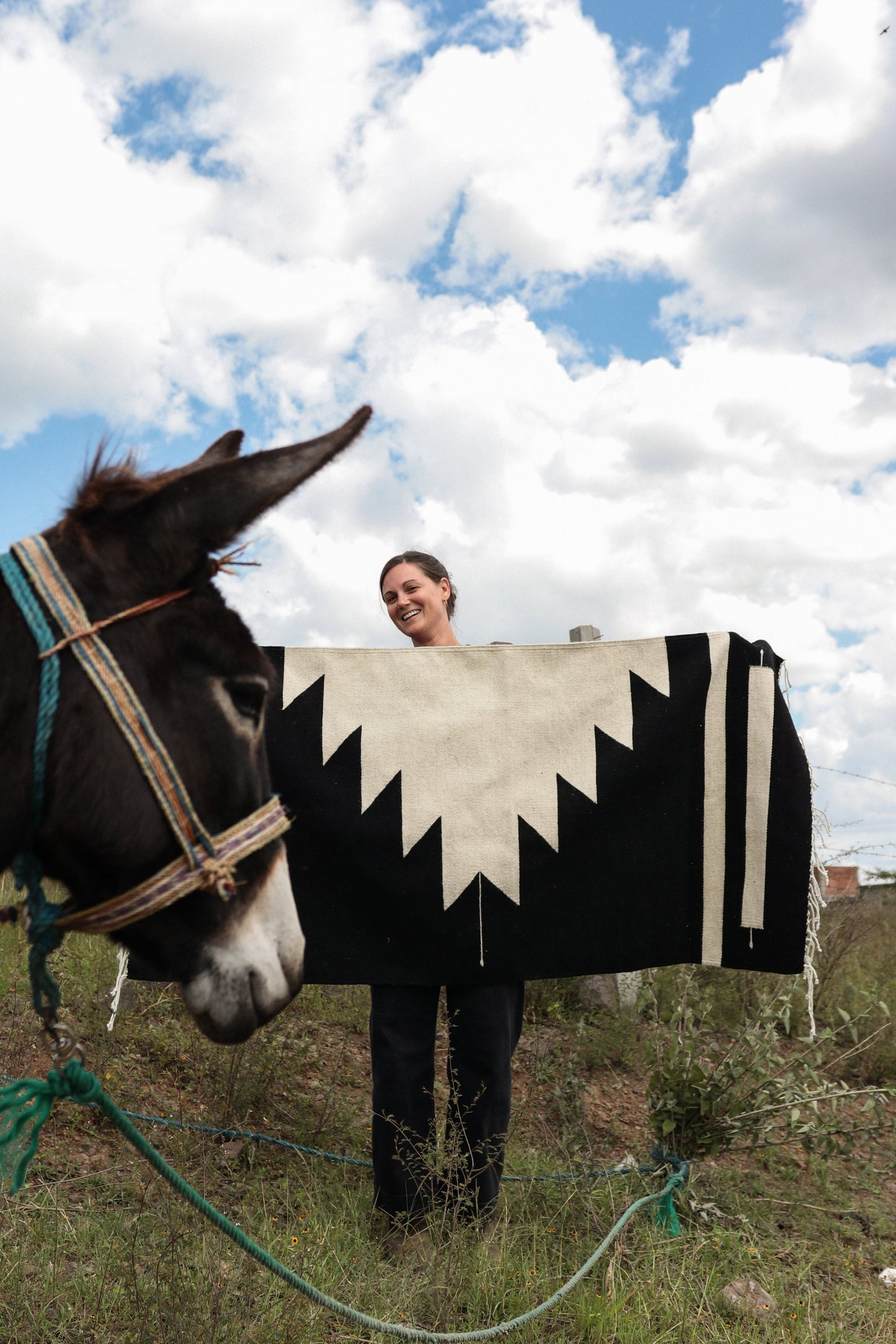 LOOM Imports Rug № 31