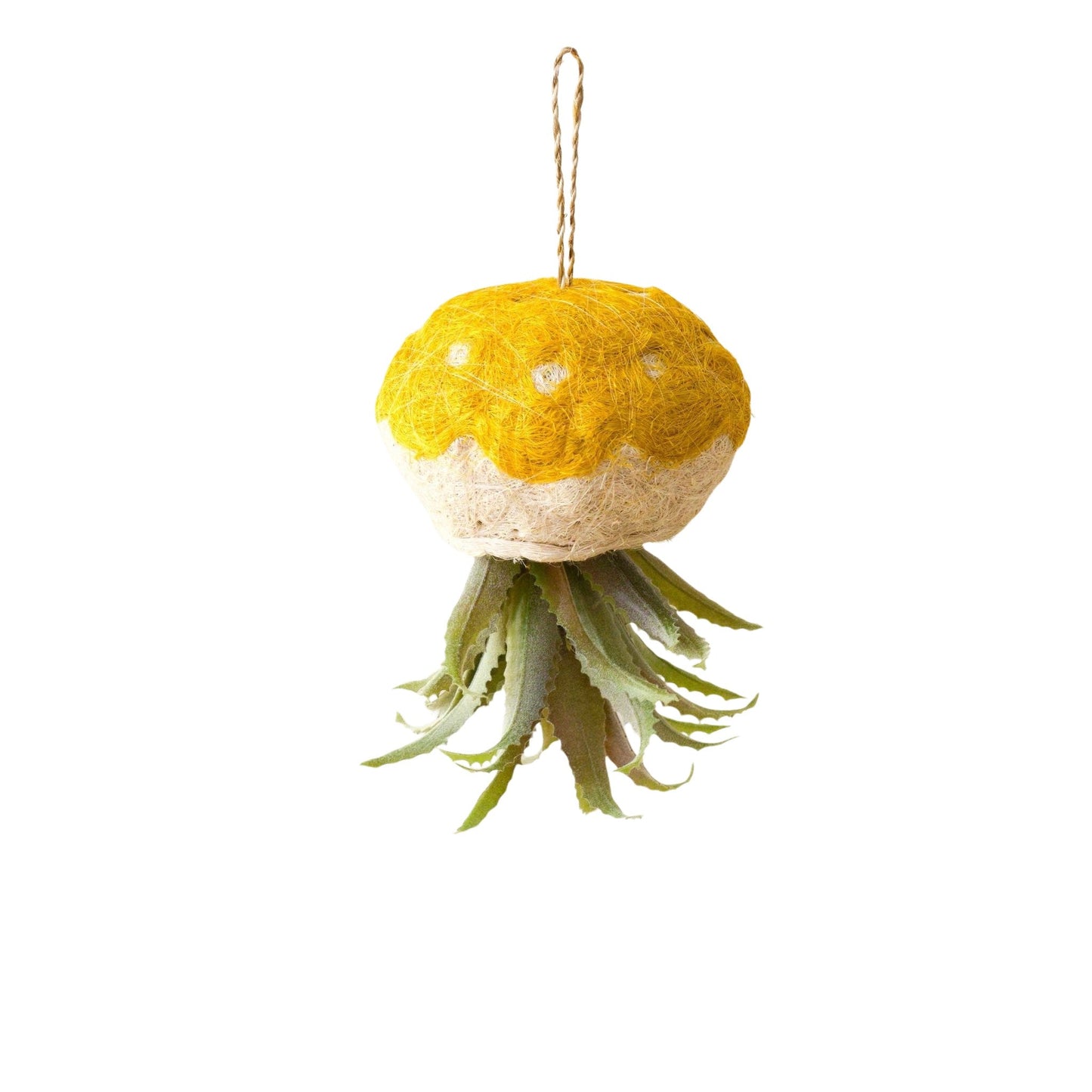 Jellyfish Air Planter