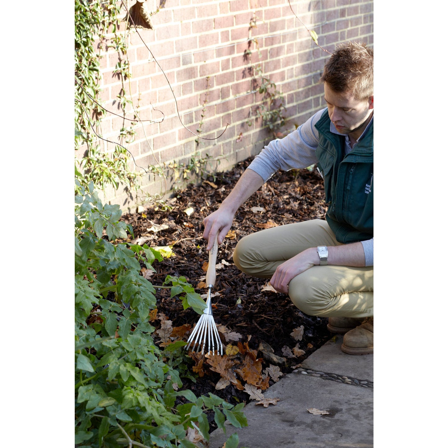 Burgon & Ball® Mid-Handled Stainless Steel Shrub Rake, RHS Endorsed