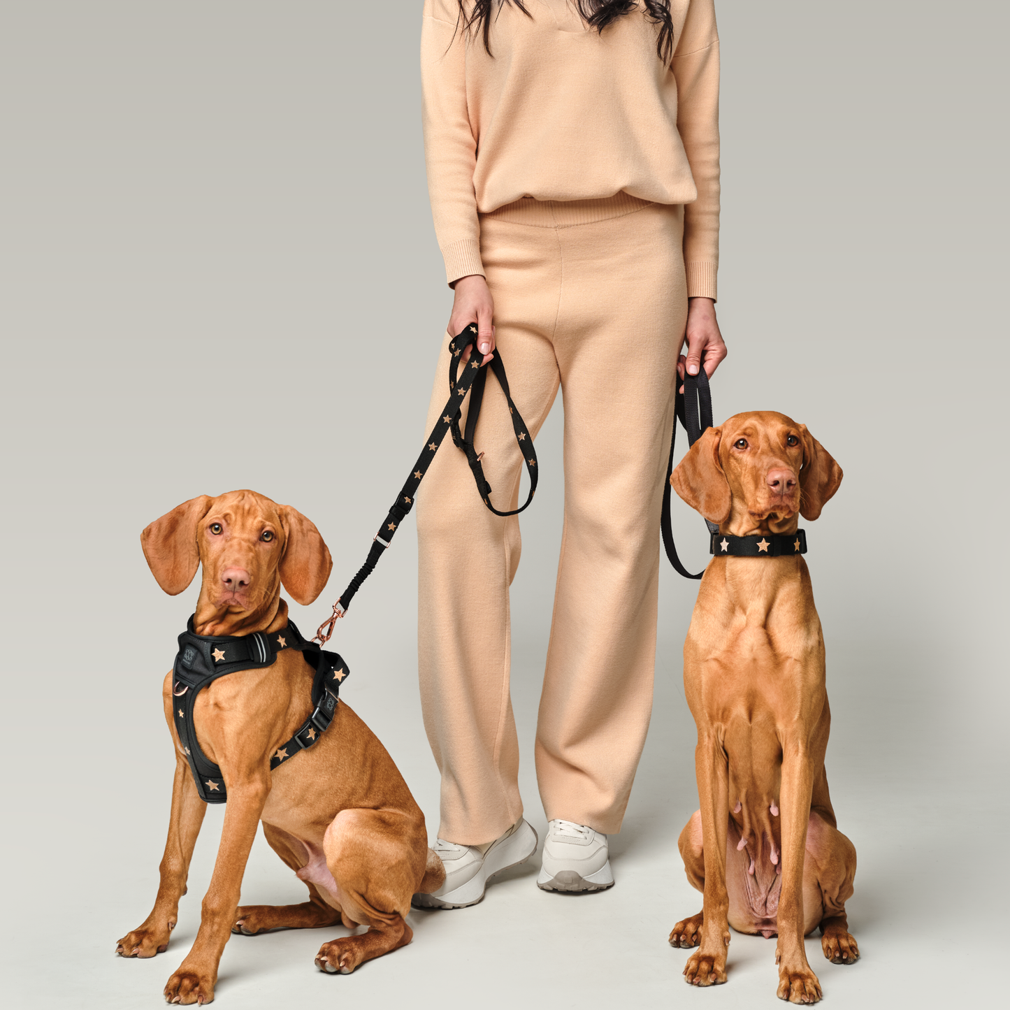 City Collar - Rockstar