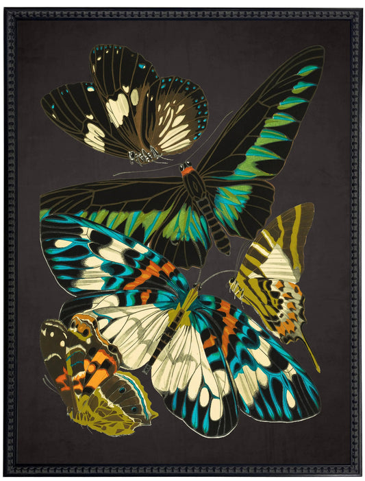 Vintage bright multi butterfly print on a distressed black background in a beaded black frame sized 18x24