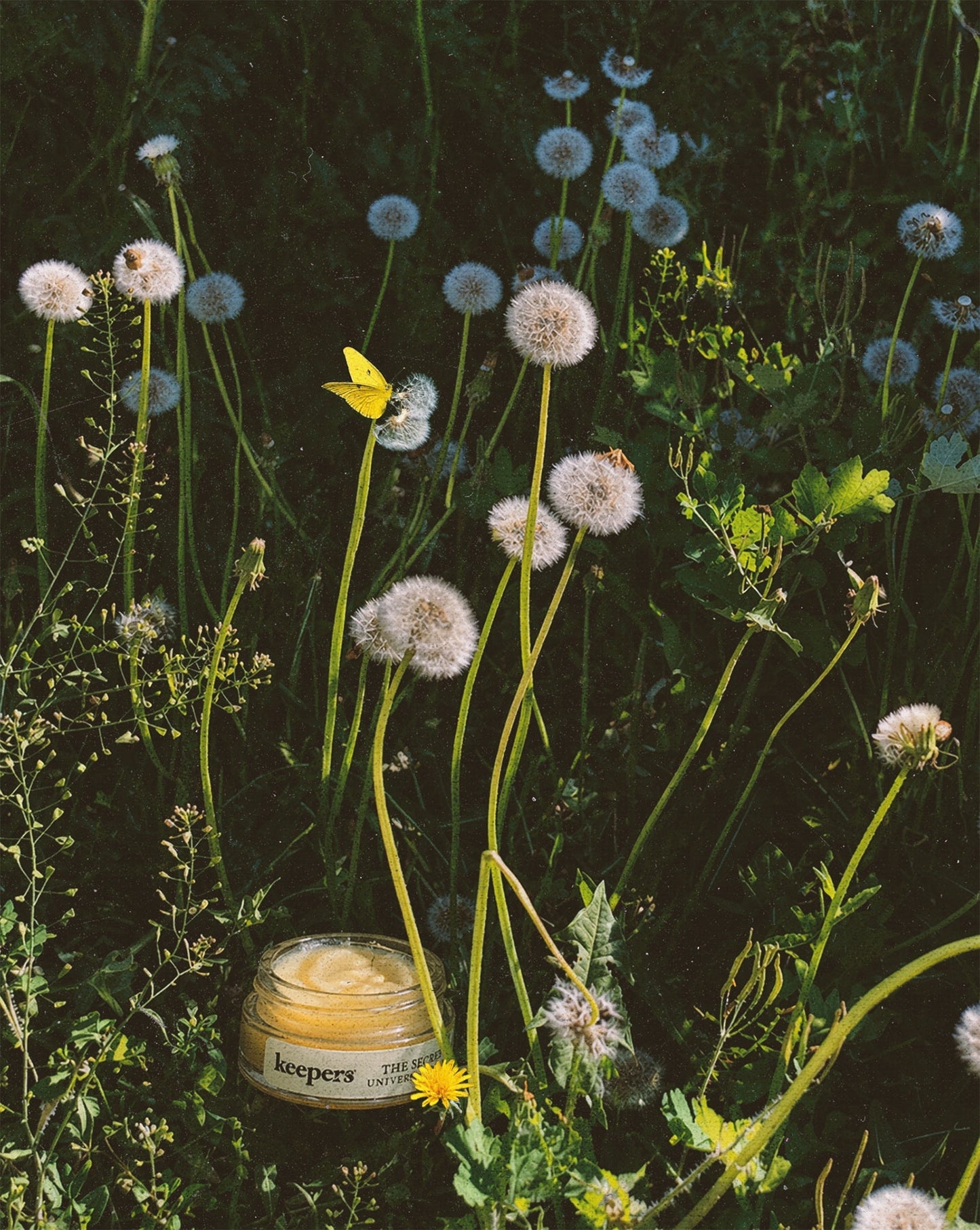 The Secret – Universal Salve