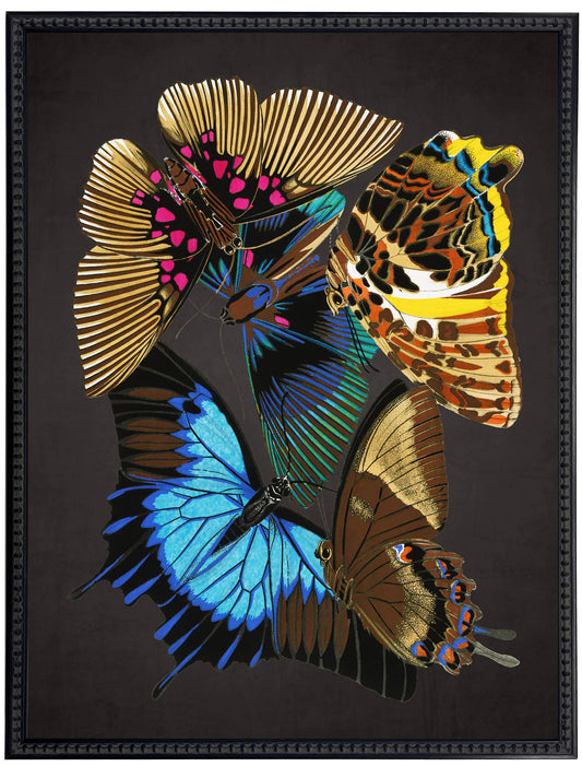 Vintage bright multi butterfly print on a distressed black background in a beaded black frame sized 18x24