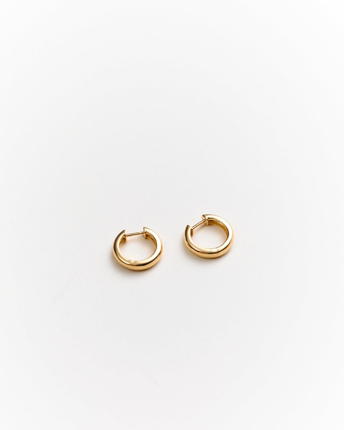 Robbie 14K Solid Gold Hoops