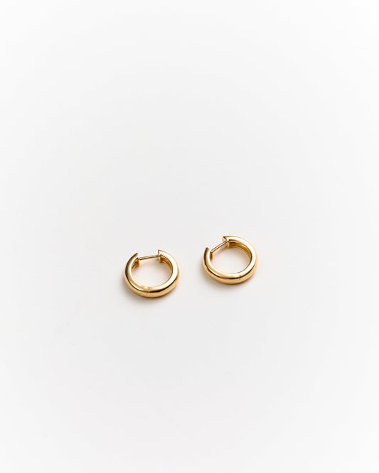 Robbie 14K Solid Gold Hoops