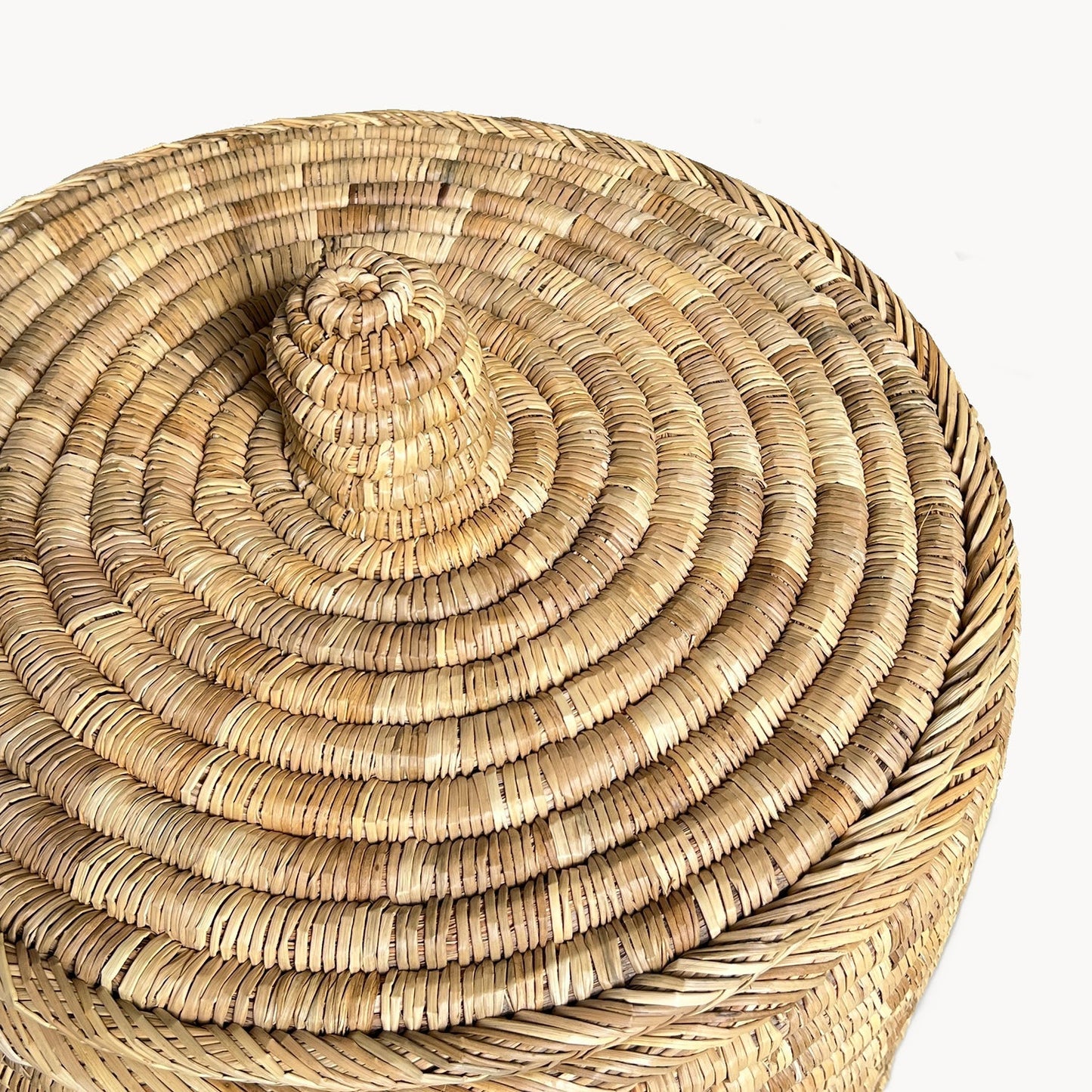 Palm Laundry/Storage Hamper with Lid