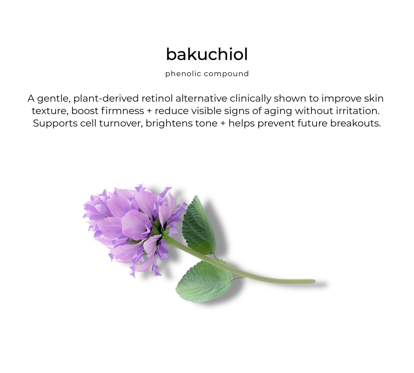 Bloom facial oil