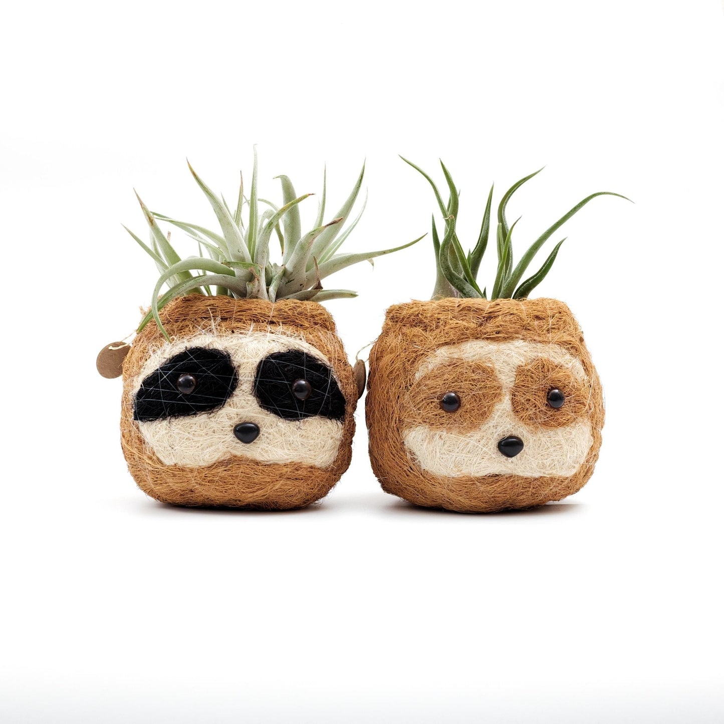 Two-tone Sloth Coco Coir Planter