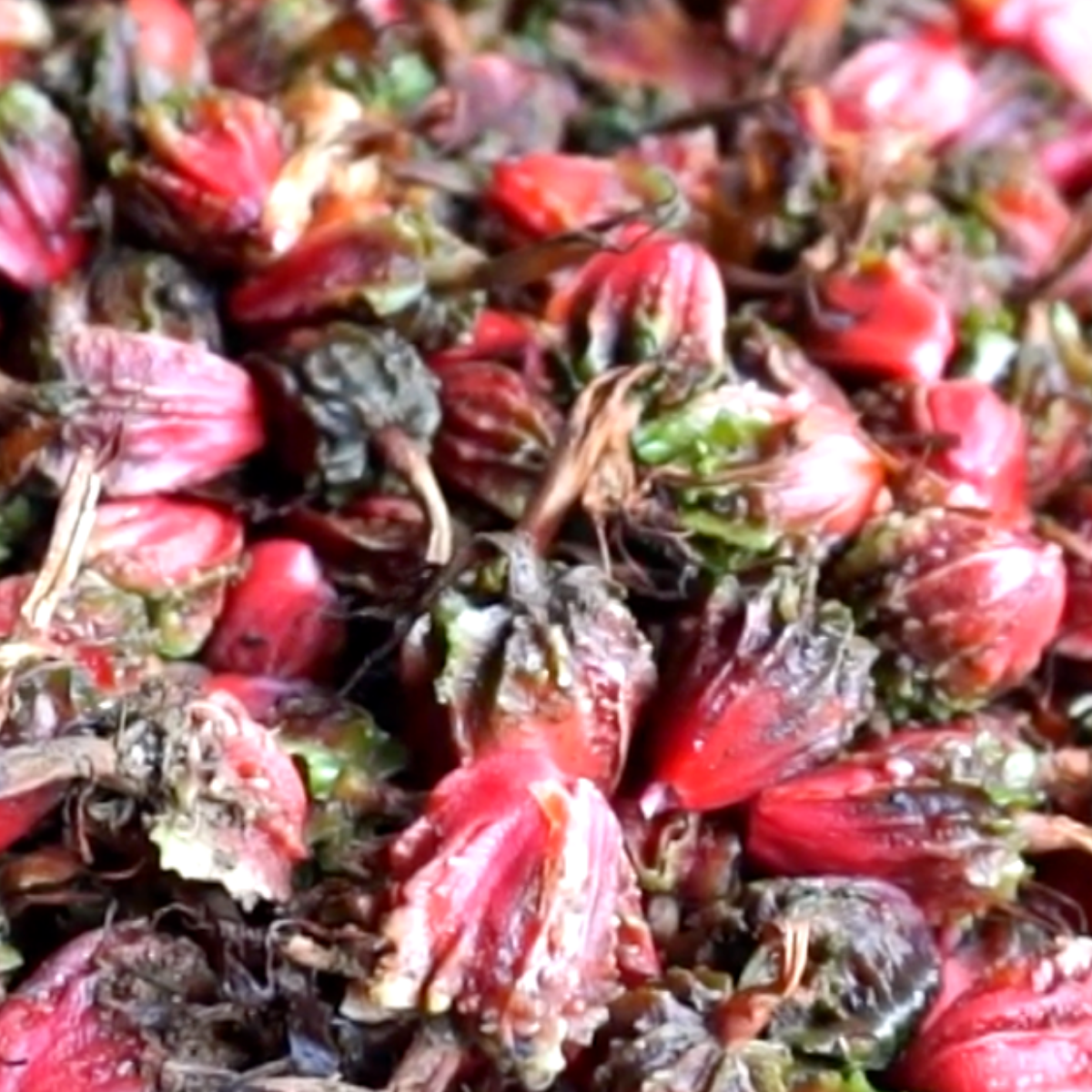 Smoked Black Cardamom