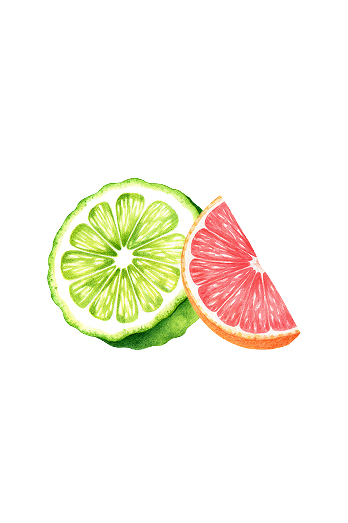 Dish Soap | Bergamot & Grapefruit