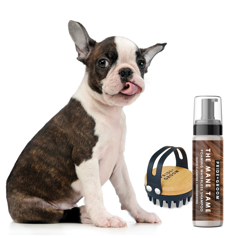 THE MID GROOM KIT — Waterless Foaming Dog & Cat Shampoo with Silicone Dog Grooming Brush with Hand Strap