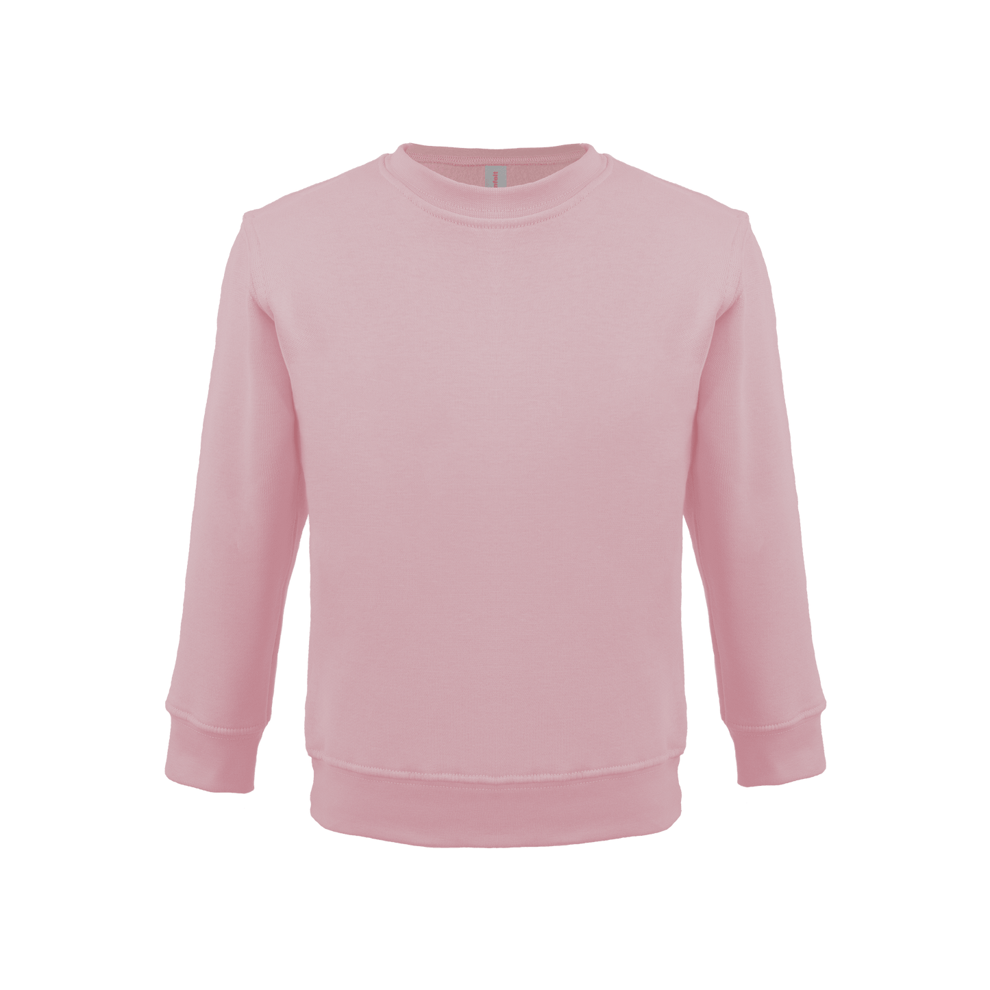 Bonita Cotton Soft Style Youth Size Unisex Sweatshirt