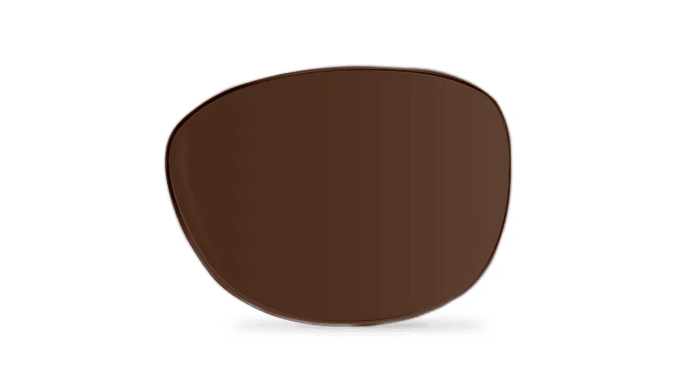 Brown Transition Lenses