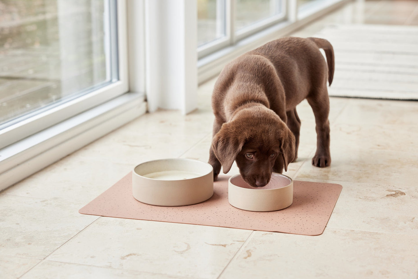 Sia Dog Bowl Rose - Medium