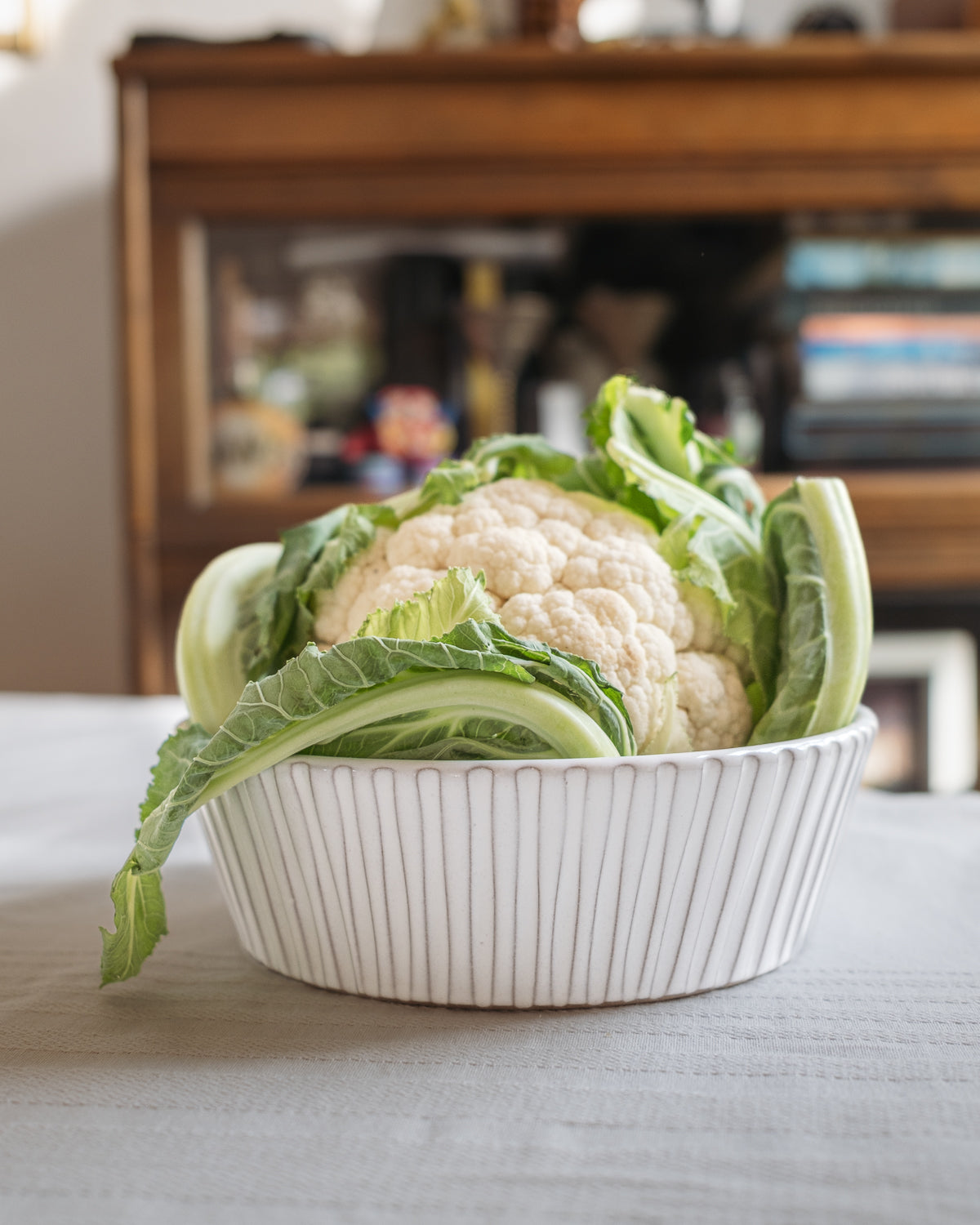 Lines Pasta Bowl in Milk White - Set of 4