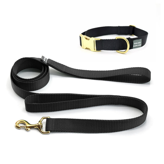 Brass Snap Collar and Leash Set