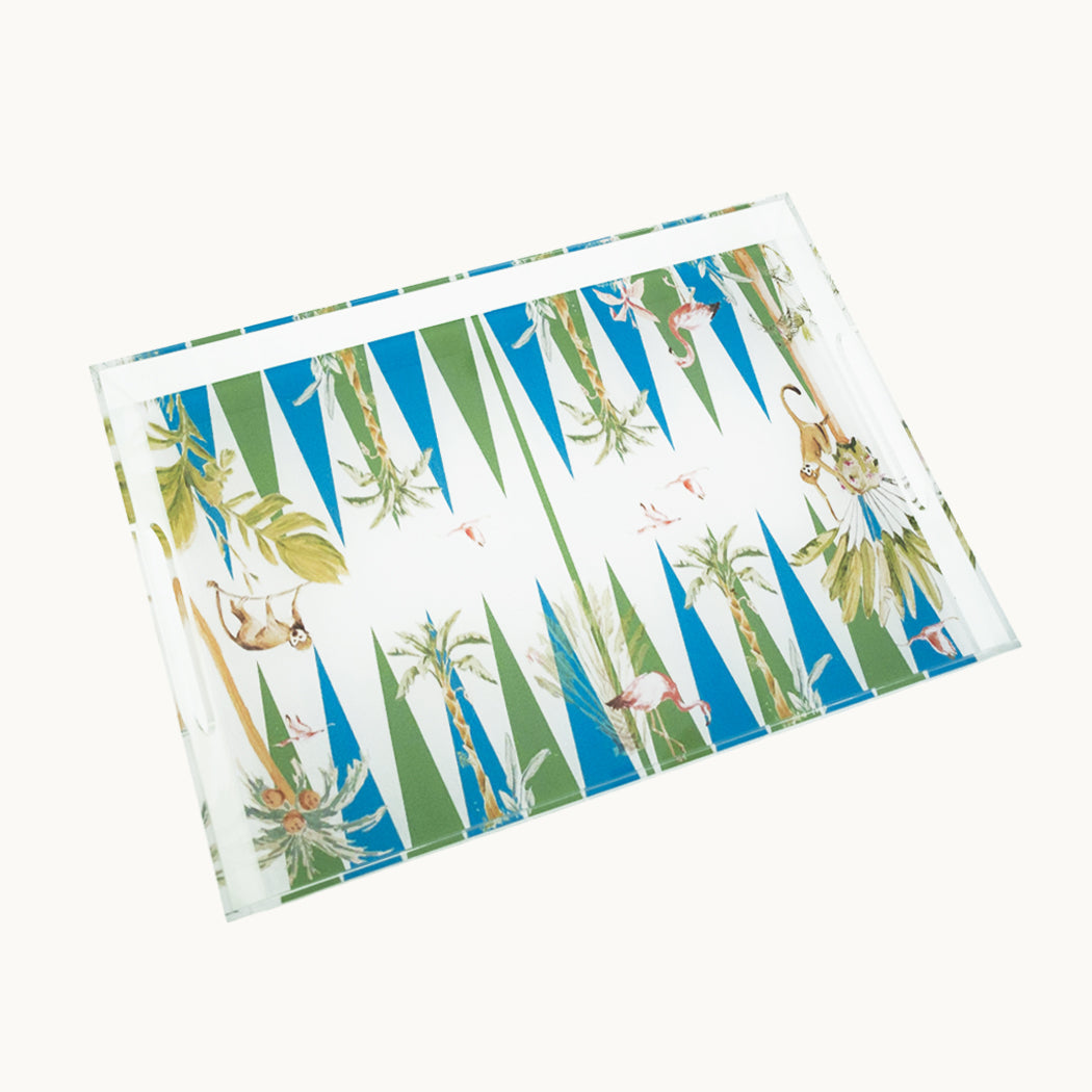 Acrylic Backgammon Tray
