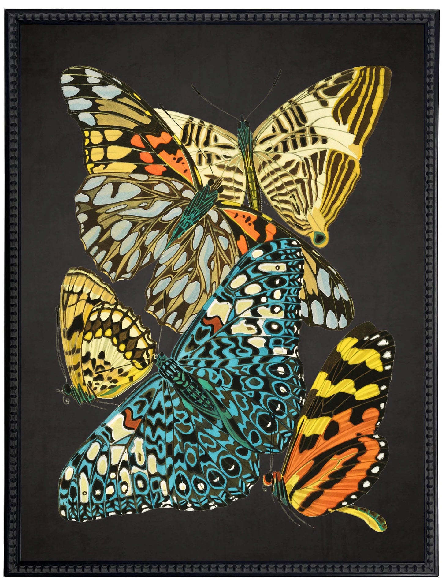 Vintage bright multi butterfly print on a distressed black background in a beaded black frame sized 18x24