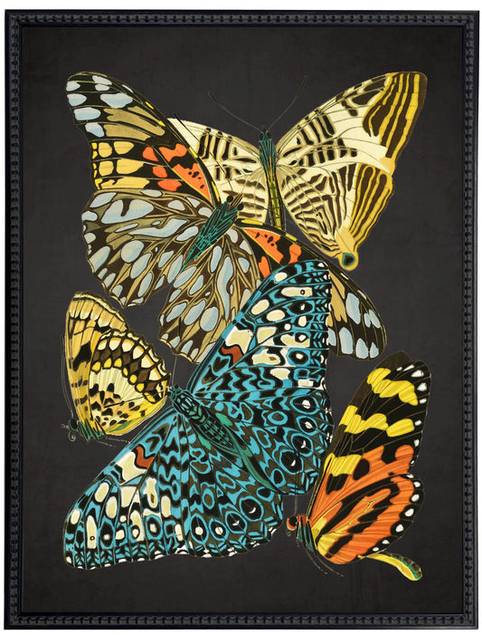 Vintage bright multi butterfly print on a distressed black background in a beaded black frame sized 18x24