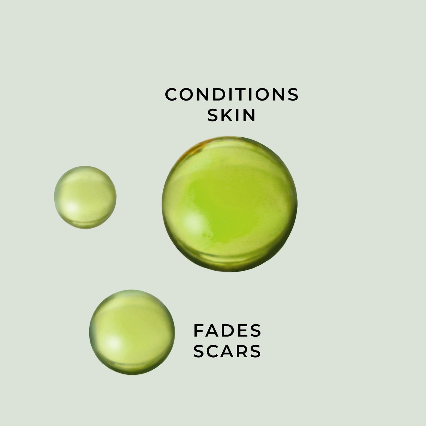 Organic Tamanu Oil