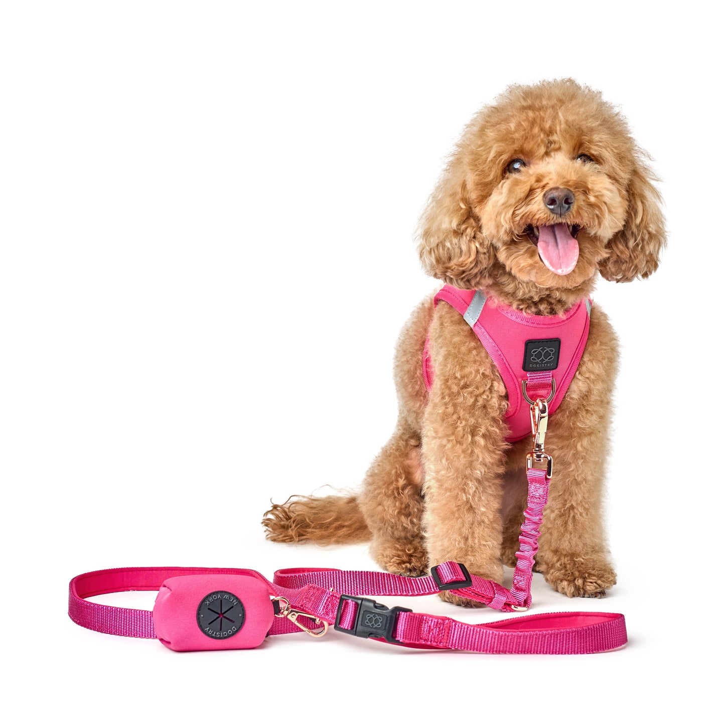 SoHo Dog Walking Set - Park Ave Pink