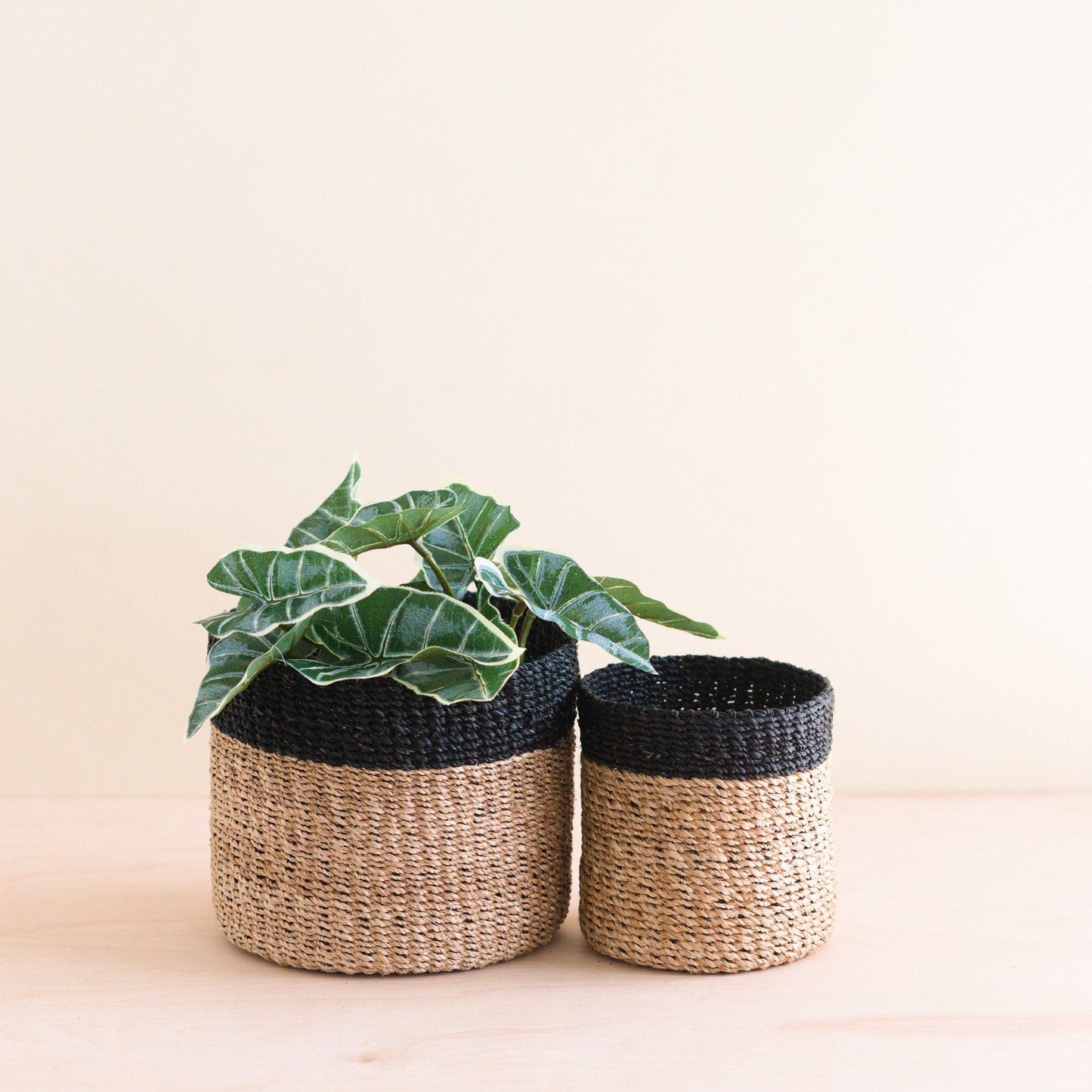 Natural + Black Tabletop Catch-All Set of 2 - Tabletop Bins | LIKHÂ