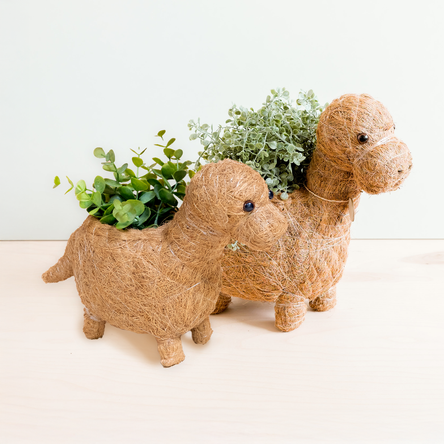 Baby Brontosaurus Planter - Handmade Pots | LIKHÂ