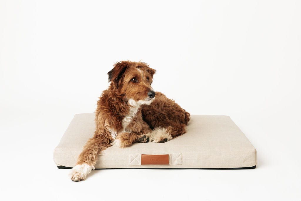 Ecru | Modern Dog Bed or Bed Cover