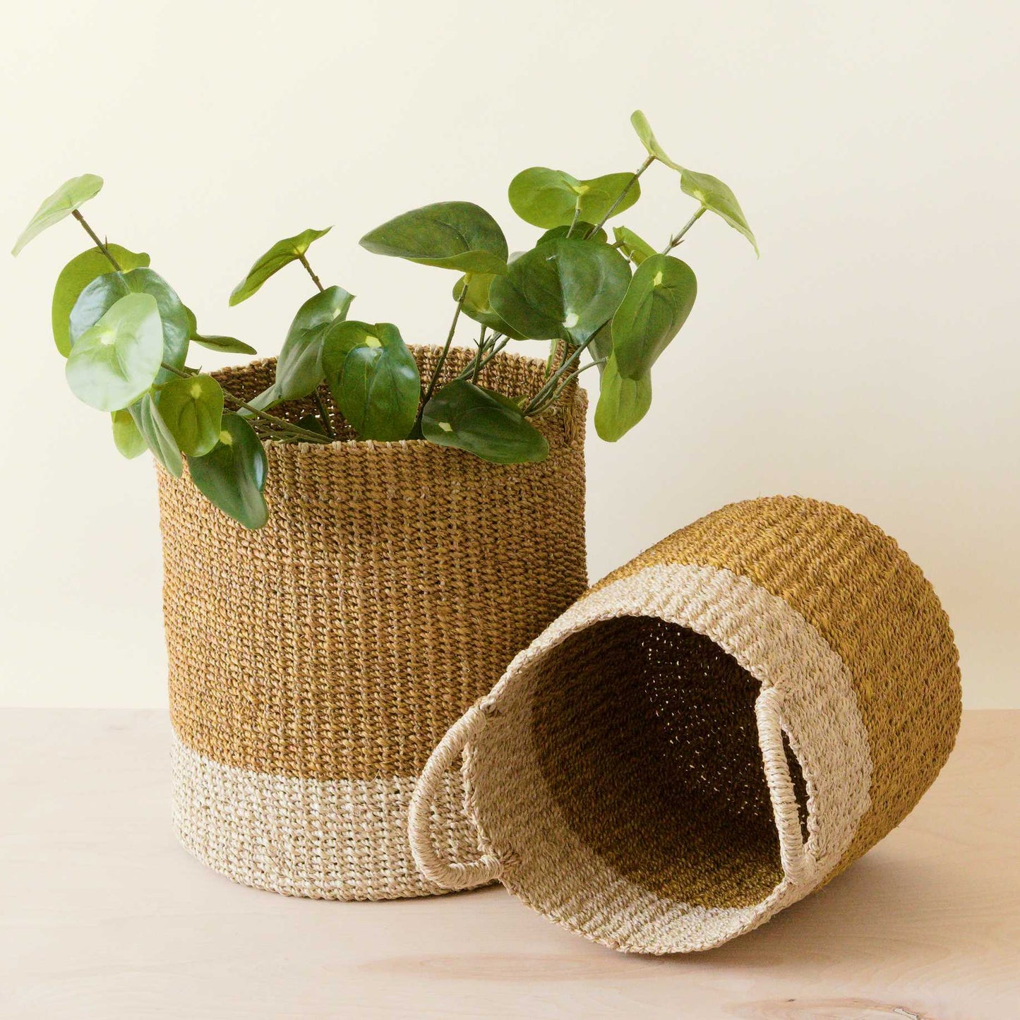 S/2 Mustard Baskets with Handle