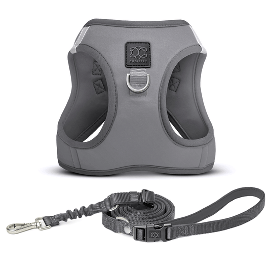 City Leash Set - Steel