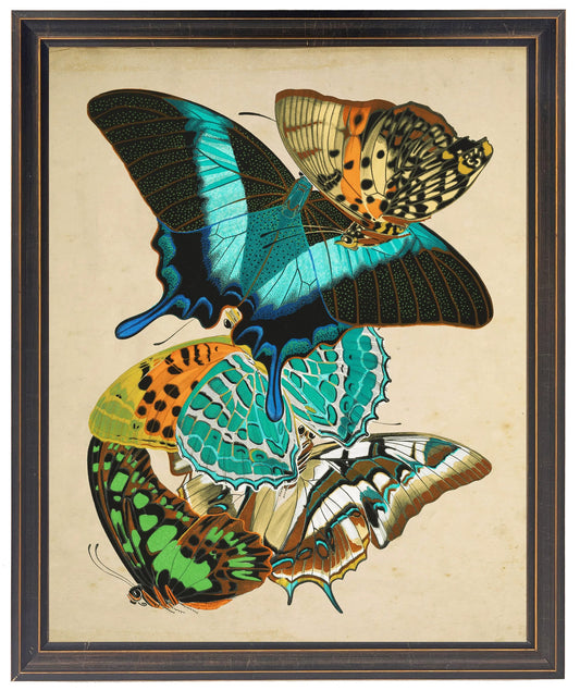 Vintage bright multi butterfly print on a distressed background in a copper and black shaped frame sized 18x24