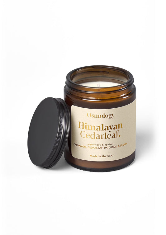 Himalayan Cedarleaf Scented Jar Candle - Cedar Patchouli and Lemon