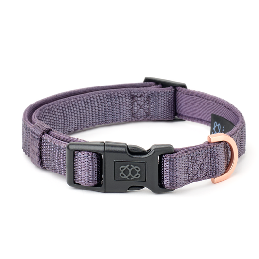 City Collar - Lilac Gray