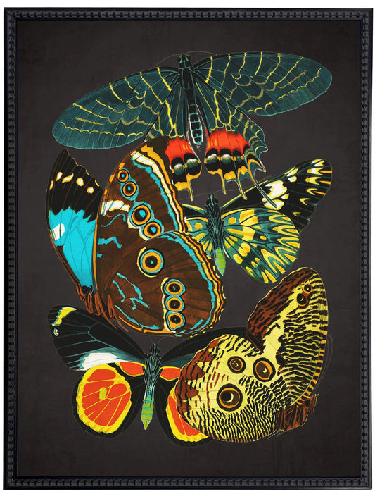 Vintage bright multi butterfly print on a distressed black background in a beaded black frame sized 18x24