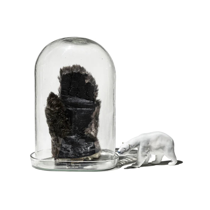 DISPLAY GLASS DOME